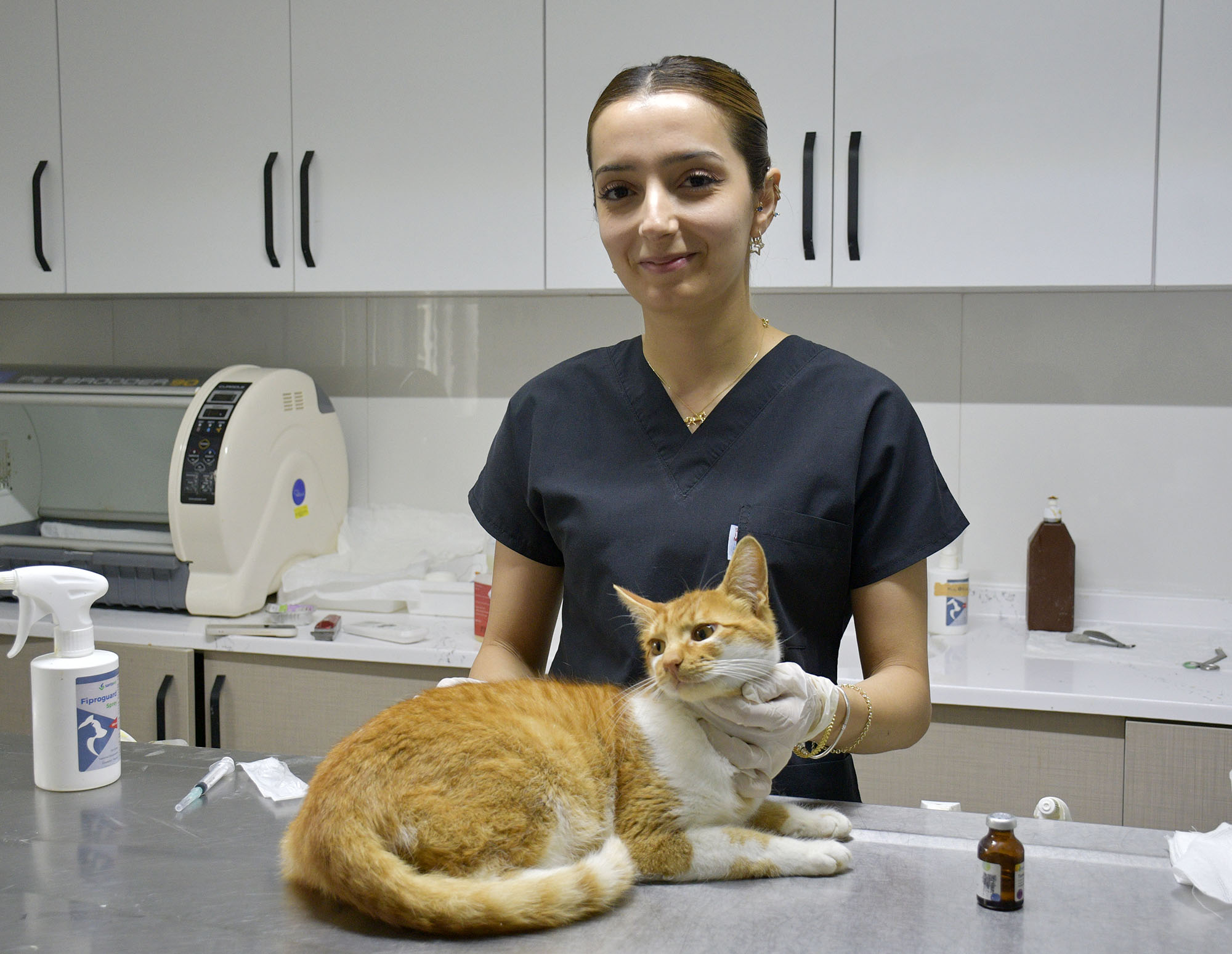 Kuşadası Belediyesi’ne bağlı Davutlar Kedi Kısırlaştırma Merkezi’nde 1160 kısırlaştırma ve