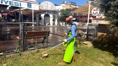 Kuşadası Belediyesi, Kurban Bayramı öncesi refüj ve yeşil alanlarda çim