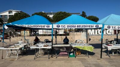 Aydın Büyükşehir Belediyesi’nin, Didim Kent Meydanı’ndaki engelli derneği çadırları için