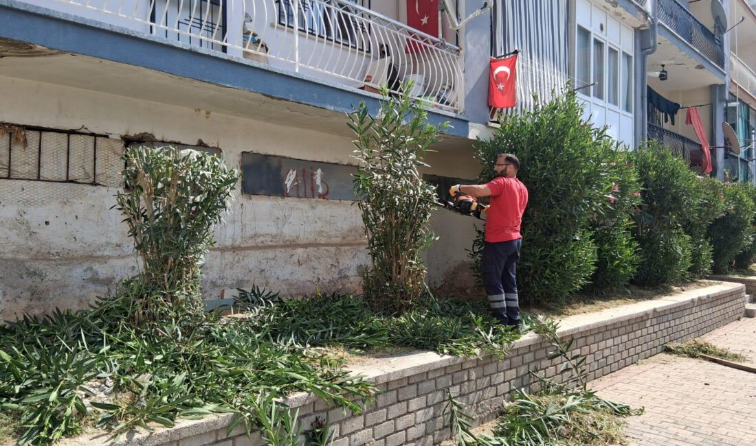 Efeler’de yaz hazırlığı: Parklar yeniden düzenleniyor Efeler Belediyesi Park ve Bahçeler Müdürlüğü ekipleri, kent genelinde dört