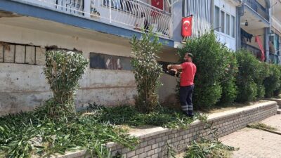 Efeler Belediyesi Park ve Bahçeler Müdürlüğü ekipleri, kent genelinde dört