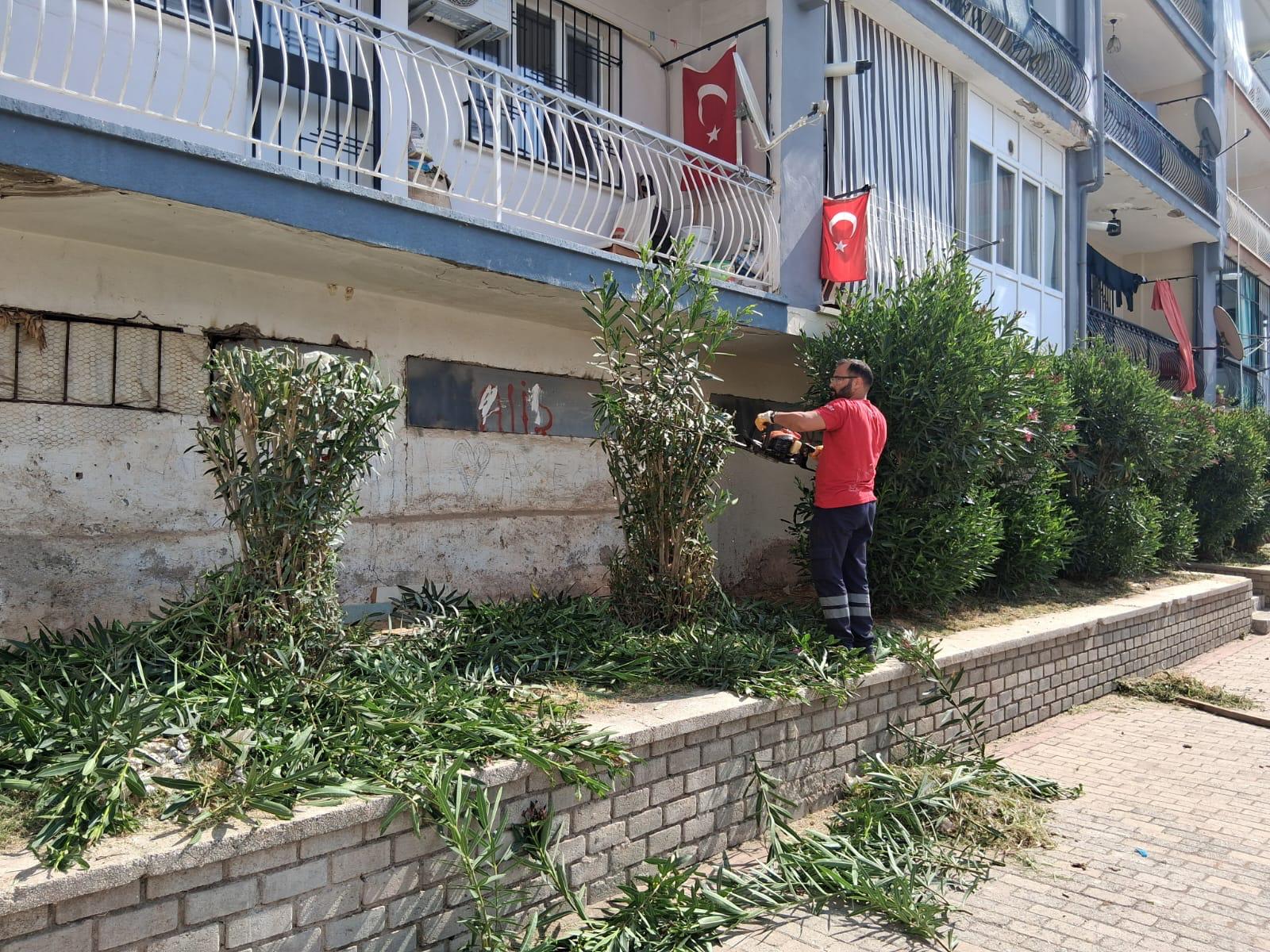 Efeler Belediyesi Park ve Bahçeler Müdürlüğü ekipleri, kent genelinde dört