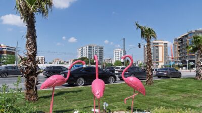 İzmir Büyükşehir Belediyesi, yılbaşından bu yana 18 bin 261’i ağaç