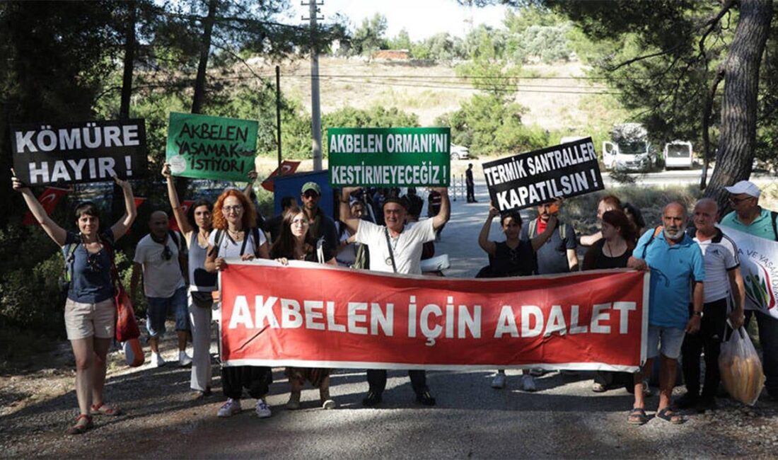 Danıştay 6. Dairesi, Akbelen çevresindeki köylerde termik santraller için alınan
