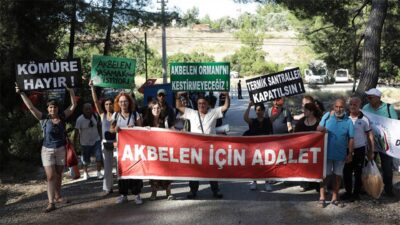 Danıştay 6. Dairesi, Akbelen çevresindeki köylerde termik santraller için alınan
