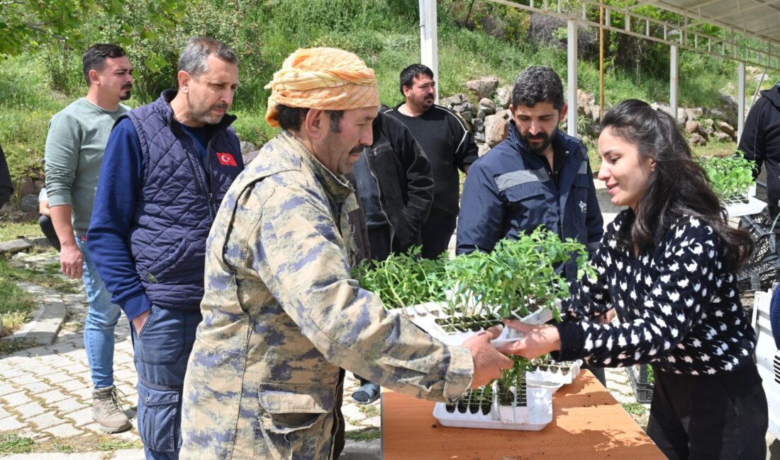 Bornova Belediyesi, kırsal mahallelerde üretimi desteklemek amacıyla 150 bin yazlık