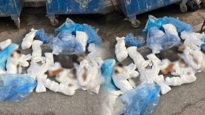 Buca’da çöp konteynerleri önünde bulunan 33 ölü kediyle ilgili gözaltına