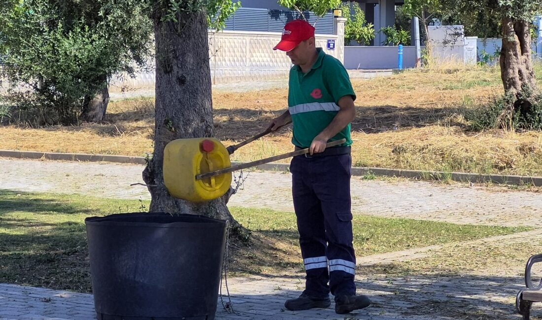 Efeler Belediyesi ekipleri, yangın riski oluşturan yabani otları temizleyerek park