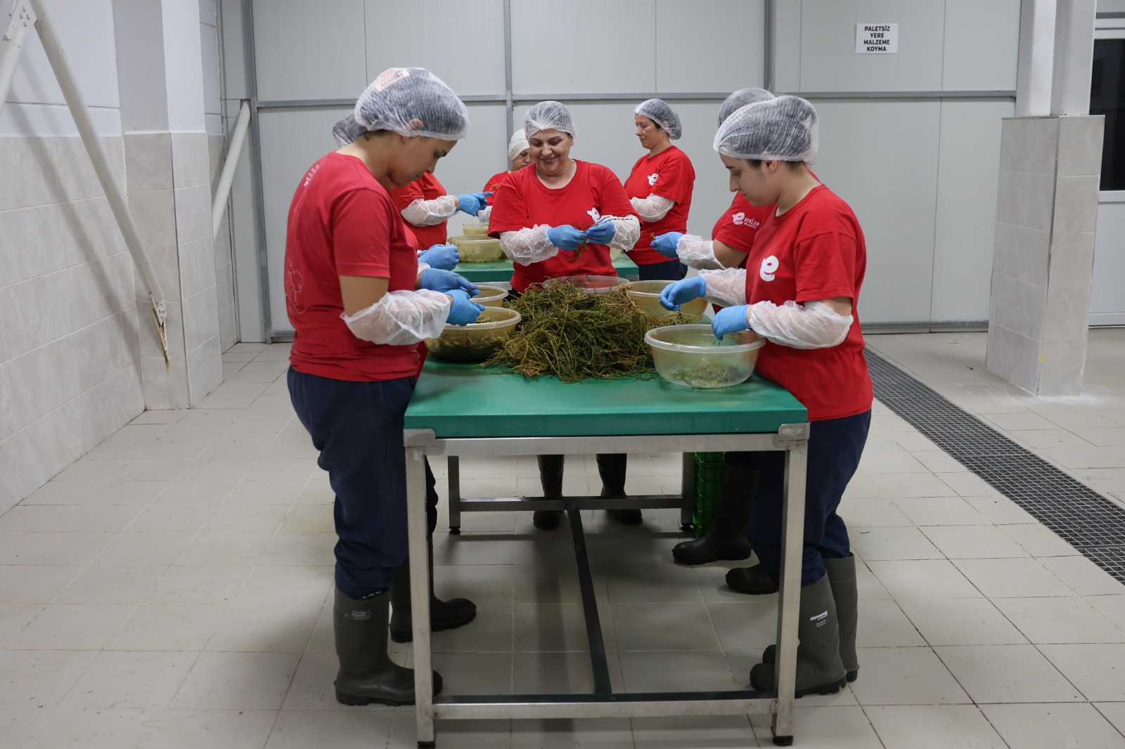 Efeler Belediyesi'ne ait Kadın Emeği Tarımsal Ürün Fabrikası'nda ürün çeşitliliği