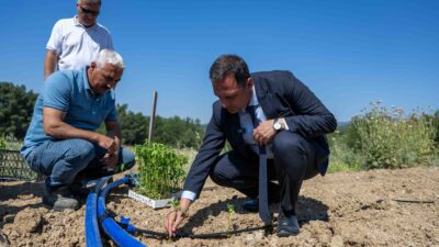 Bornova Belediyesi, Yakaköy Doğal Tarım Çiftliği’nde başlattığı üretim projesiyle hem
