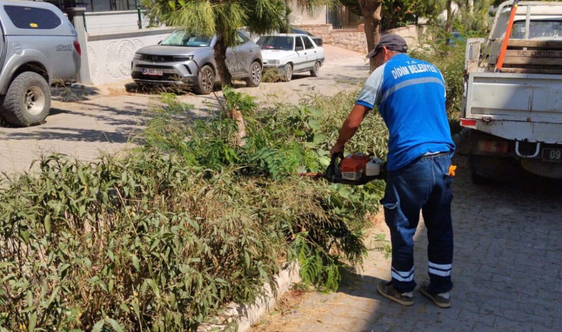 Didim Belediyesi, kent genelindeki park ve yeşil alanlarda çim biçme,