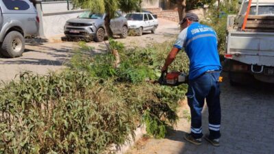 Didim Belediyesi, kent genelindeki park ve yeşil alanlarda çim biçme,