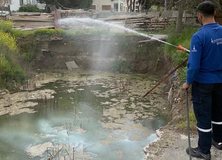 İzmir Büyükşehir Belediyesi, iklim değişikliği nedeniyle üreme süreleri uzayan sivrisinek