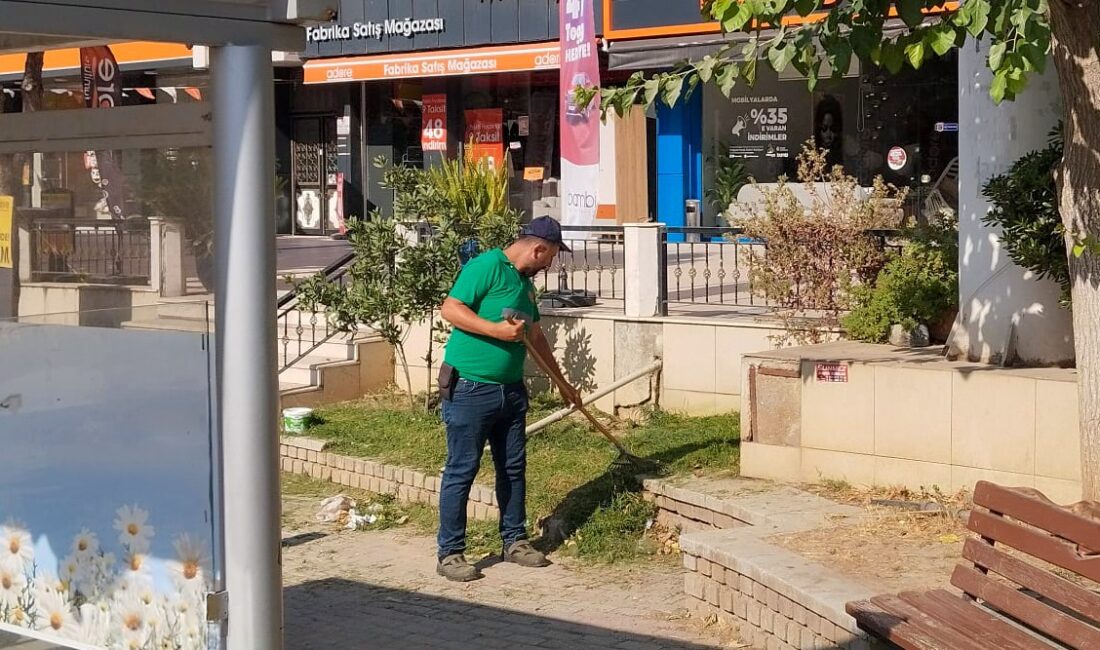 Efeler Belediyesi, kentin yeşil dokusunu korumak ve mahallelere daha estetik