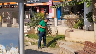 Efeler Belediyesi, kentin yeşil dokusunu korumak ve mahallelere daha estetik
