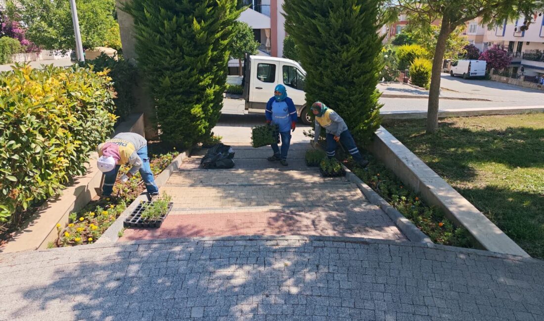 Didim Belediyesi kendi ürettiği çiçeklerle kenti renklendiriyor Didim Belediyesi, kent estetiğini güçlendirmek amacıyla kendi üretimi olan mevsimlik