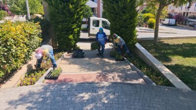 Didim Belediyesi, kent estetiğini güçlendirmek amacıyla kendi üretimi olan mevsimlik