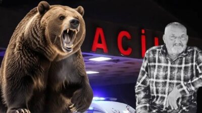 İzmir'in Seferihisar ilçesinde evinin önünde uyuduğu sırada ayı saldırısına uğrayan