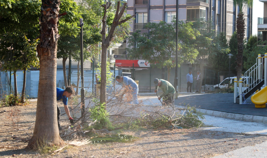 Buca’nın park ve yeşil alanlarında kapsamlı bakım hamlesi Buca’daki park ve yeşil alanlar, ilçe genelinde başlatılan kapsamlı bakım,