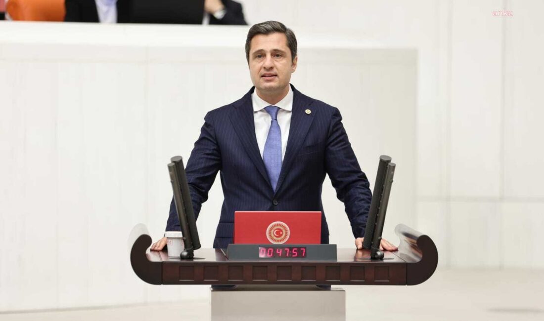 YENİ Parti İzmir Milletvekili ve Parti Meclisi Üyesi Deniz Yücel,