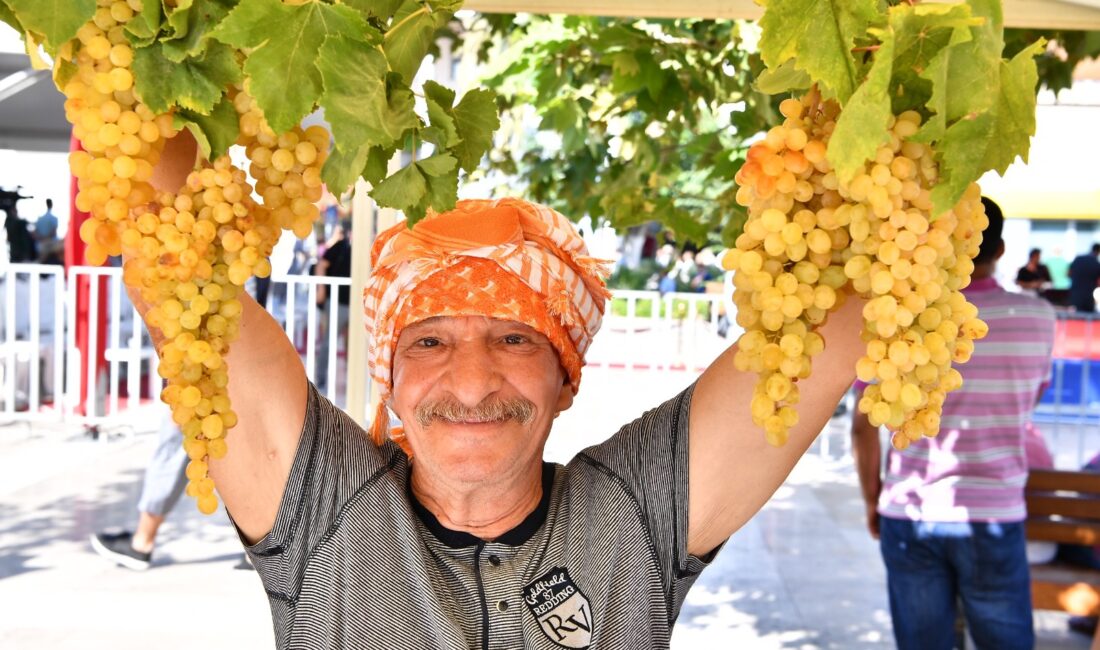 Urla’da 2600 yıllık Bağbozumu Şenlikleri başlıyor Urla Belediyesi, binlerce yıllık bağcılık geleneğini yaşatan Geleneksel Bağbozumu Şenlikleri'ni