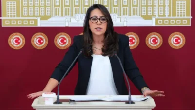 Türkiye İşçi Partisi (TİP), Parti Sözcüsü ve İstanbul Milletvekili Sera