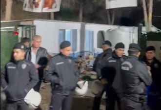 Ege Üniversitesi kampüsünde öğrenciler ve hayvanseverlerin yıllardır baktığı köpeklerin bulunduğu