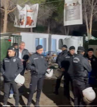 Ege Üniversitesi kampüsünde öğrenciler ve hayvanseverlerin yıllardır baktığı köpeklerin bulunduğu