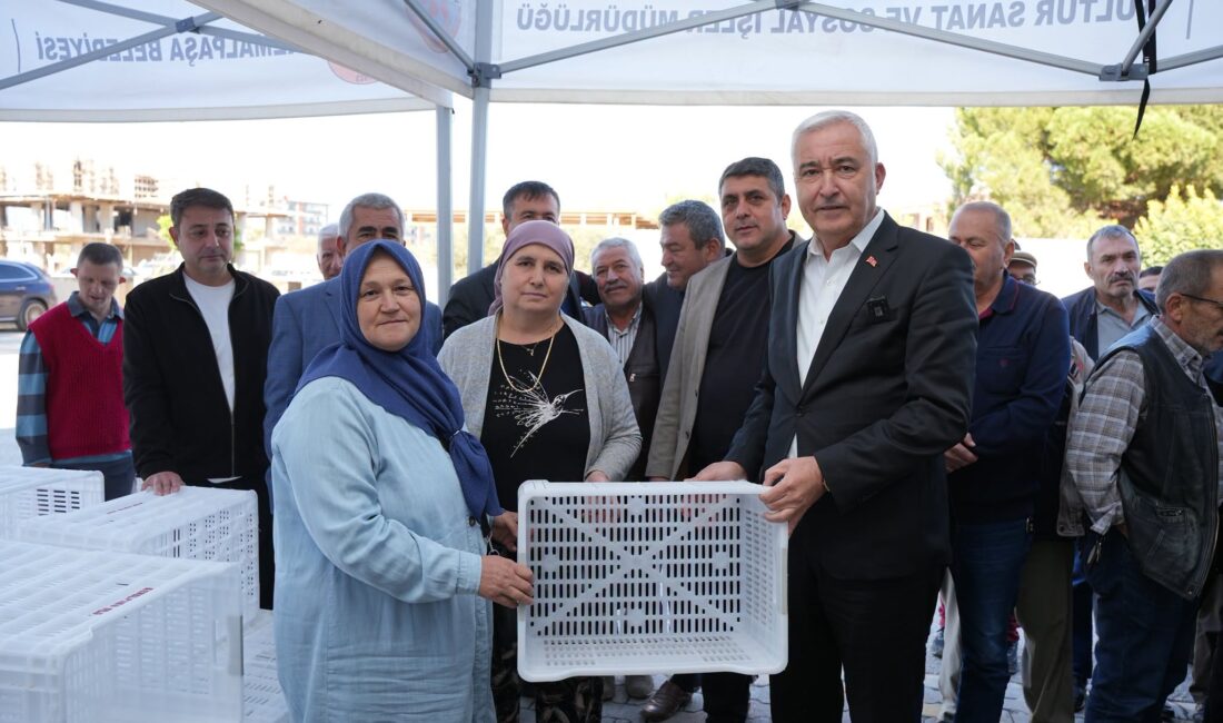 Zeytin hasadı öncesinde Kemalpaşa Belediyesi, 656 üreticiye toplam 4 bin