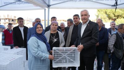 Zeytin hasadı öncesinde Kemalpaşa Belediyesi, 656 üreticiye toplam 4 bin