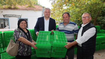 Urla Belediyesi, zeytin hasadında verim kayıplarını azaltmak ve ürün kalitesini