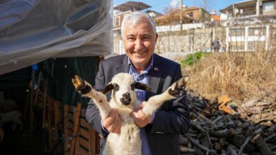 Kemalpaşa Belediyesi, zeytin hasadı öncesinde üreticilerin maliyetlerini hafifletmek amacıyla kasa